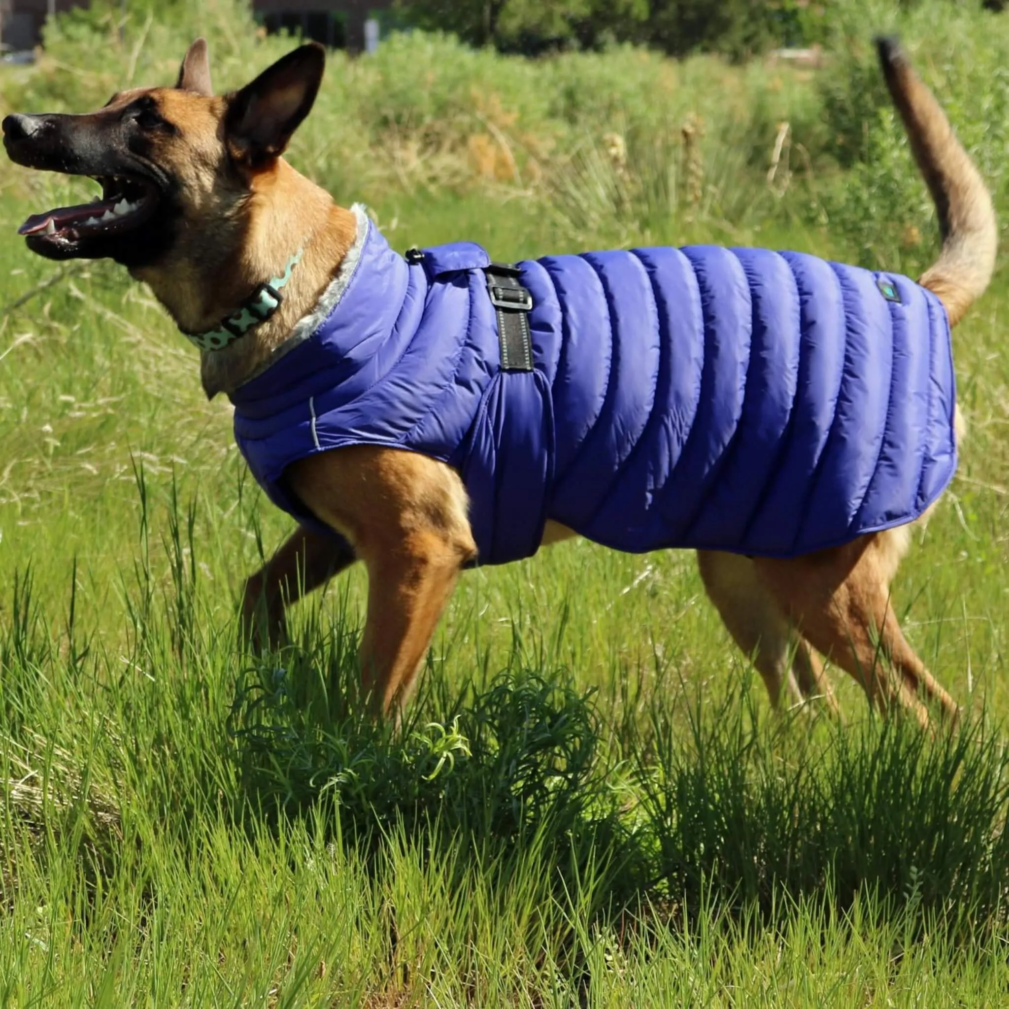 Alpine Extreme Weather Puffer Dog Coat - Navy