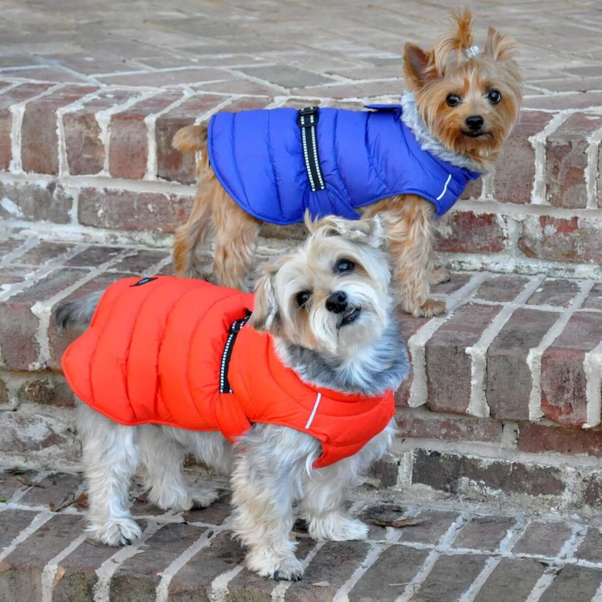 Alpine Extreme Weather Puffer Dog Coat - Navy