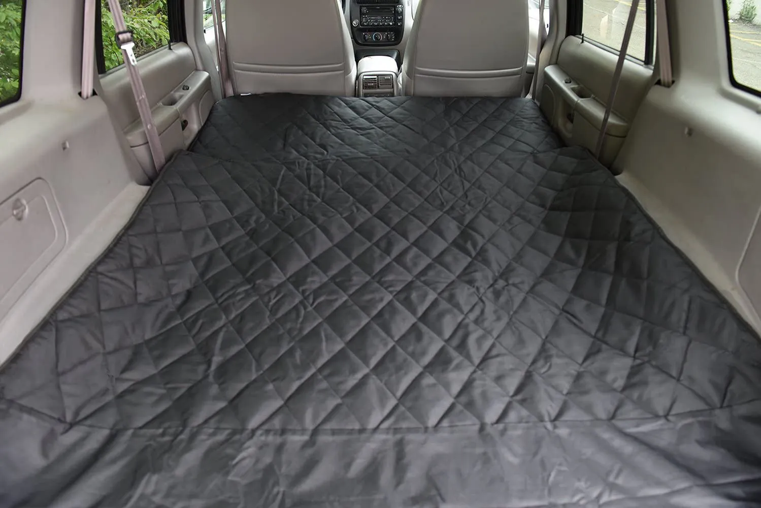 Large Cargo Liner